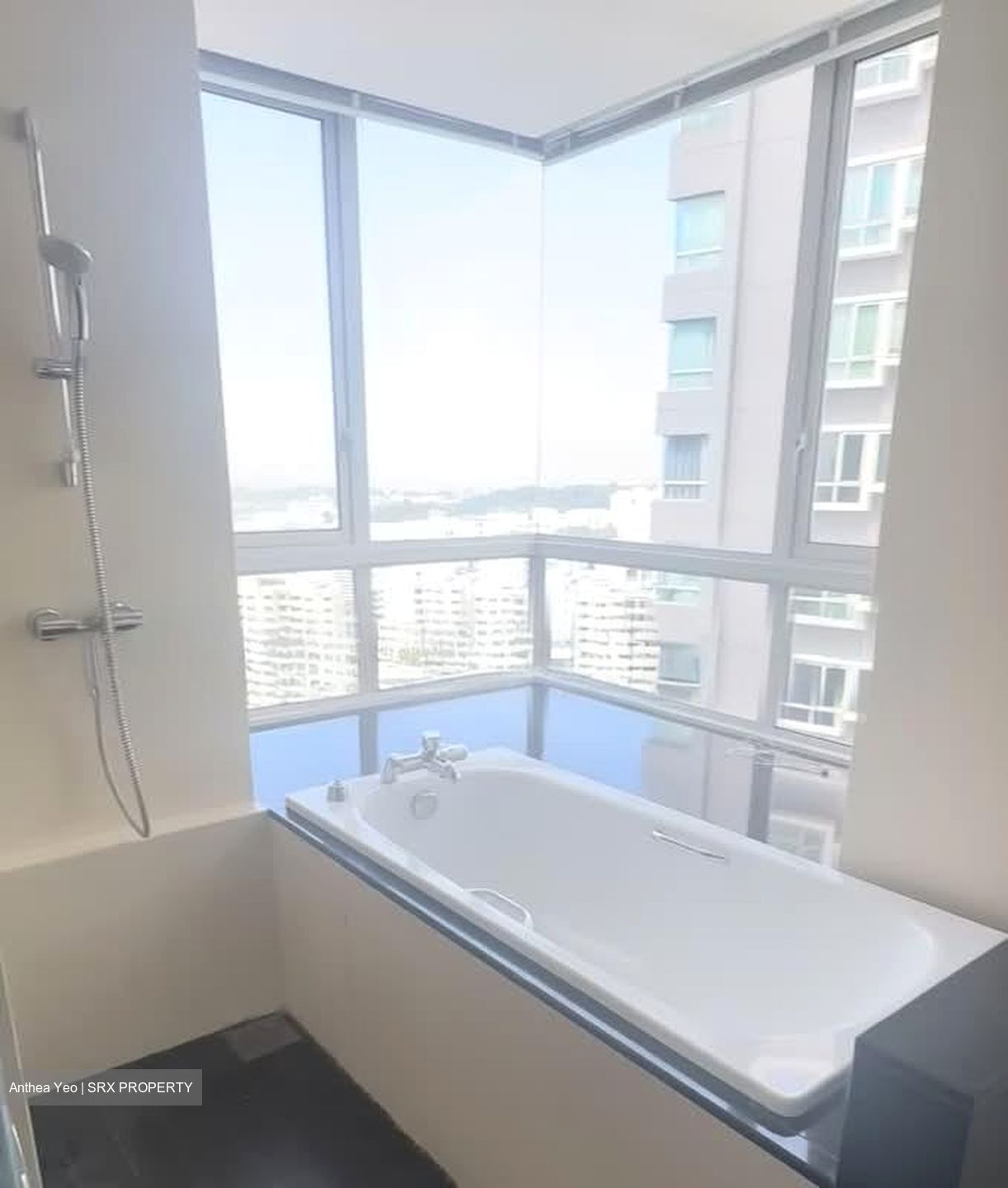 Twin Regency (D3), Condominium #581290201